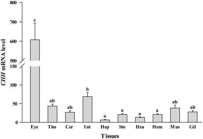 https://cdn.ncbi.nlm.nih.gov/pmc/blobs/f78e/5871893/e9c609d68cee/fphys-09-00270-g0004.jpg