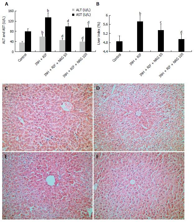 https://cdn.ncbi.nlm.nih.gov/pmc/blobs/f78f/5124982/140fc49bb94e/WJG-22-9775-g001.jpg