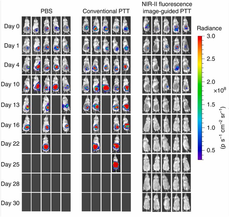 https://cdn.ncbi.nlm.nih.gov/pmc/blobs/f791/10750080/47e094d7b361/gr5.jpg