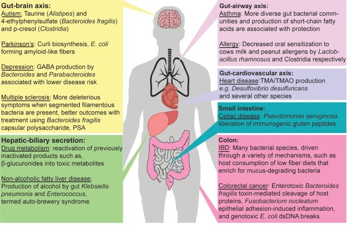 https://cdn.ncbi.nlm.nih.gov/pmc/blobs/f791/7144961/b04f0c8324ab/ppat.1008370.g001.jpg