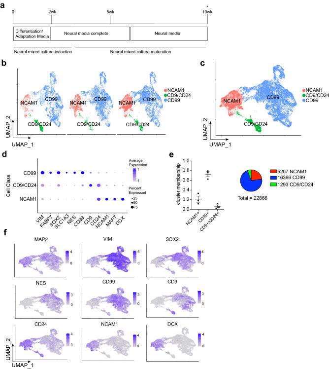 https://cdn.ncbi.nlm.nih.gov/pmc/blobs/f793/8593045/36d470b0fafd/41598_2021_1366_Fig1_HTML.jpg
