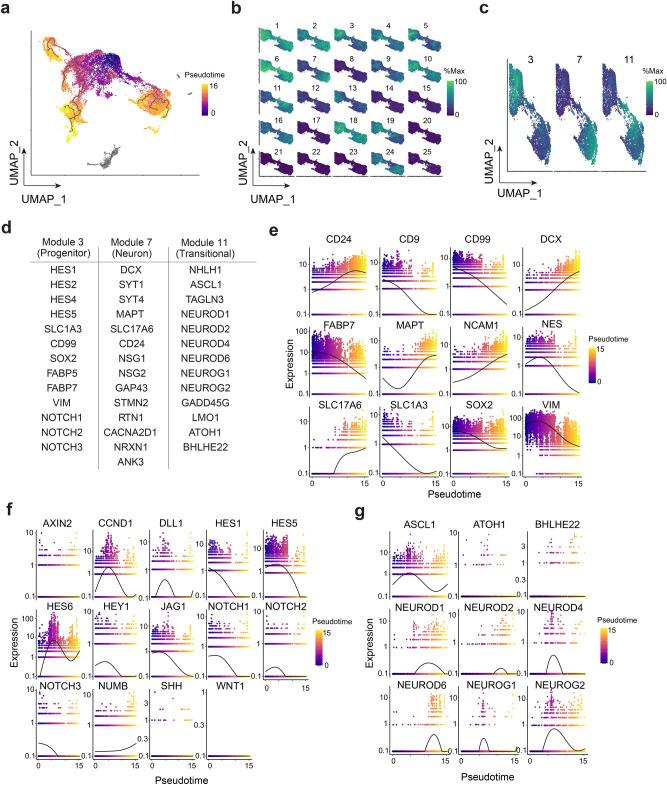 https://cdn.ncbi.nlm.nih.gov/pmc/blobs/f793/8593045/73a53e92d325/41598_2021_1366_Fig2_HTML.jpg