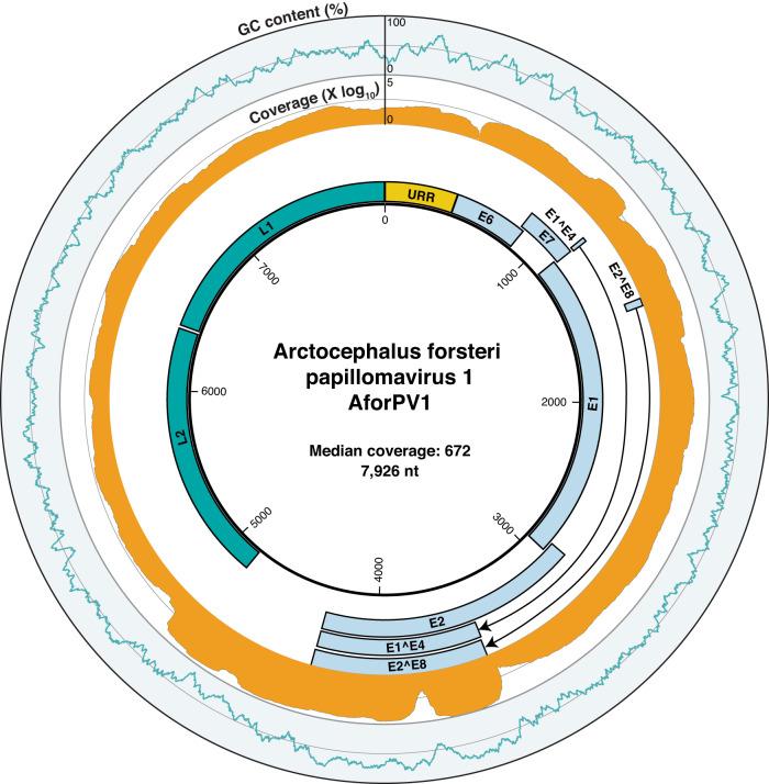 https://cdn.ncbi.nlm.nih.gov/pmc/blobs/f796/11721157/876a5d9bcd0d/44298_2024_20_Fig2_HTML.jpg
