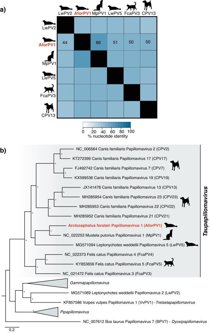 https://cdn.ncbi.nlm.nih.gov/pmc/blobs/f796/11721157/bba620ad62f5/44298_2024_20_Fig3_HTML.jpg