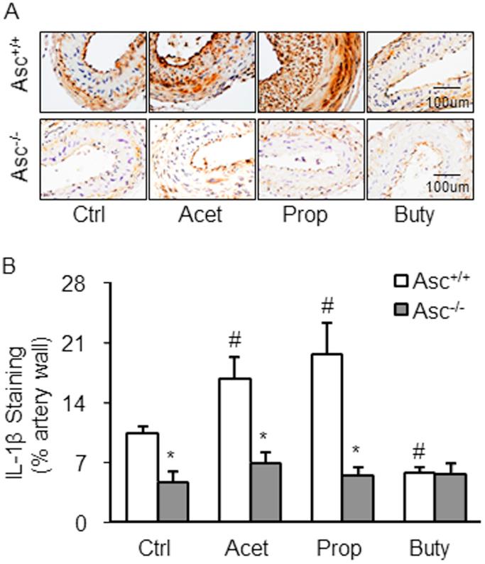 https://cdn.ncbi.nlm.nih.gov/pmc/blobs/f797/5842312/3b24be48cbaf/gr3.jpg