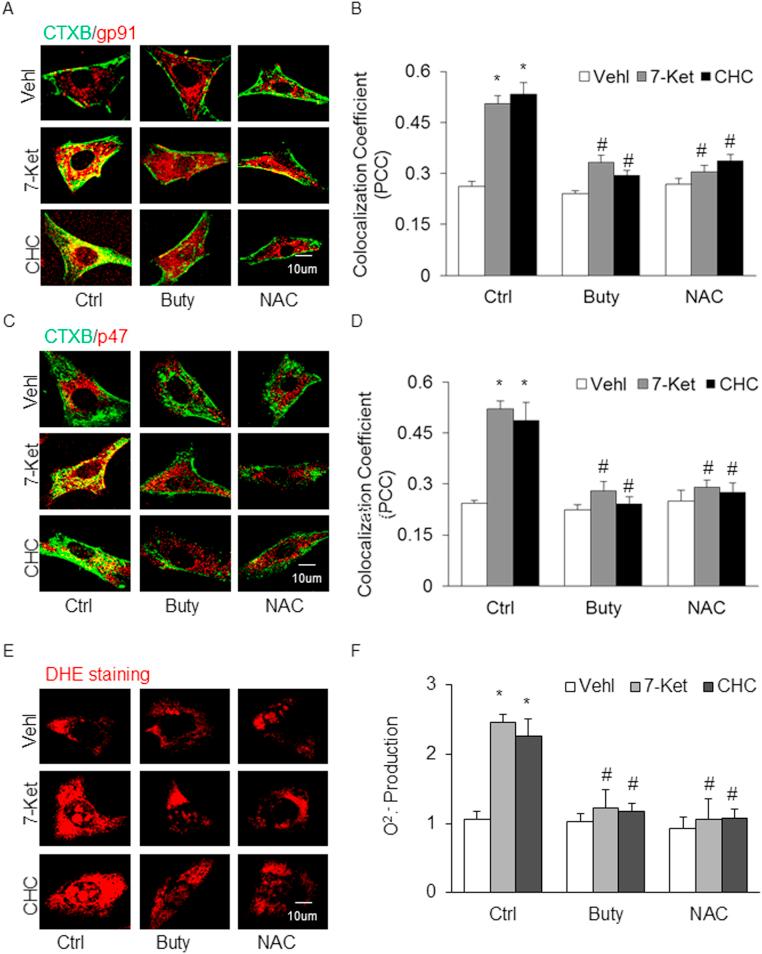 https://cdn.ncbi.nlm.nih.gov/pmc/blobs/f797/5842312/ab24f7be2e42/gr8.jpg