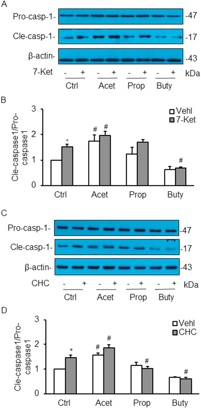https://cdn.ncbi.nlm.nih.gov/pmc/blobs/f797/5842312/cf25db9db022/gr6.jpg