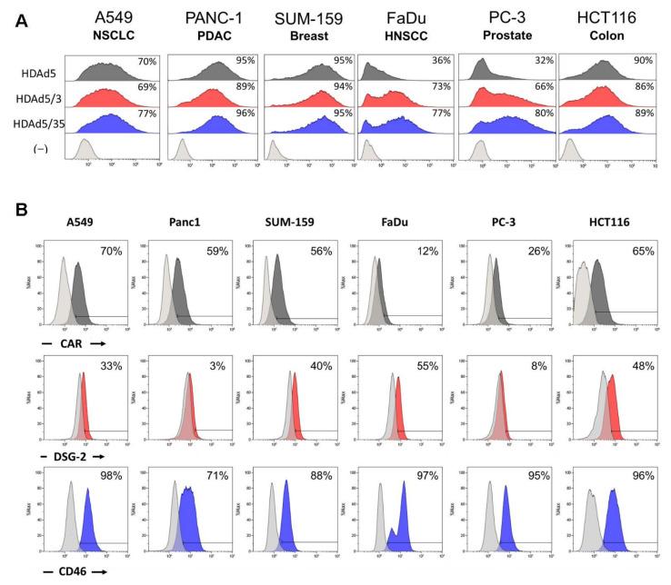 https://cdn.ncbi.nlm.nih.gov/pmc/blobs/f797/9179443/c0952526eb1a/cancers-14-02769-g001.jpg