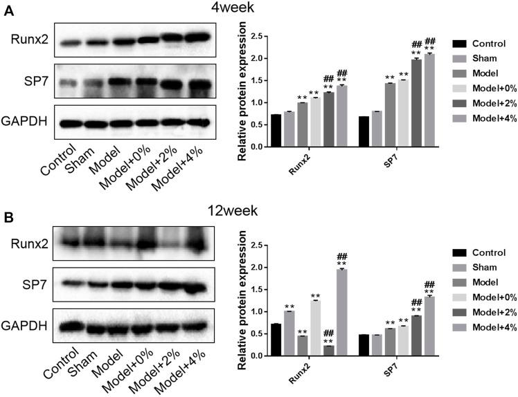 https://cdn.ncbi.nlm.nih.gov/pmc/blobs/f797/9300829/546a29ee4c6c/fbioe-10-832727-g006.jpg