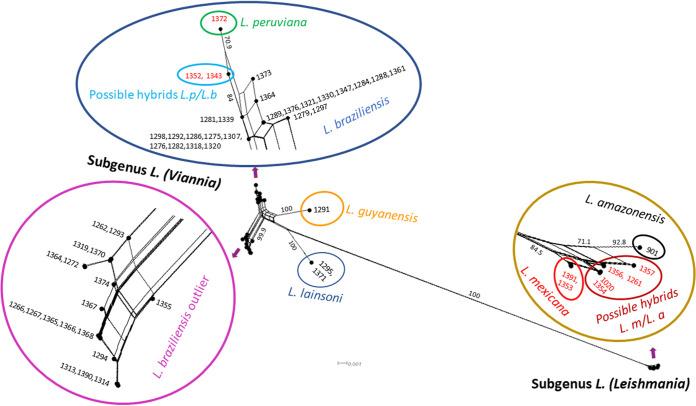 https://cdn.ncbi.nlm.nih.gov/pmc/blobs/f797/9927355/f45092811fac/spectrum.03477-22-f001.jpg