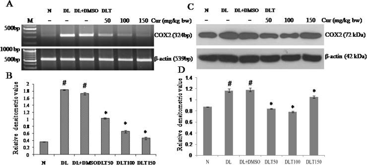 https://cdn.ncbi.nlm.nih.gov/pmc/blobs/f798/4393109/899f3a59c642/pone.0124000.g012.jpg