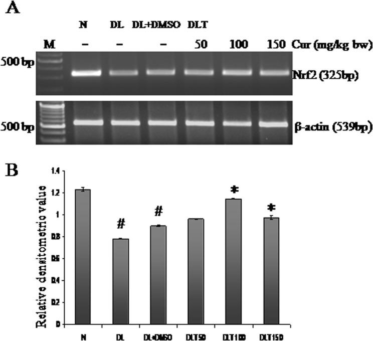https://cdn.ncbi.nlm.nih.gov/pmc/blobs/f798/4393109/ad77aa5c9179/pone.0124000.g003.jpg