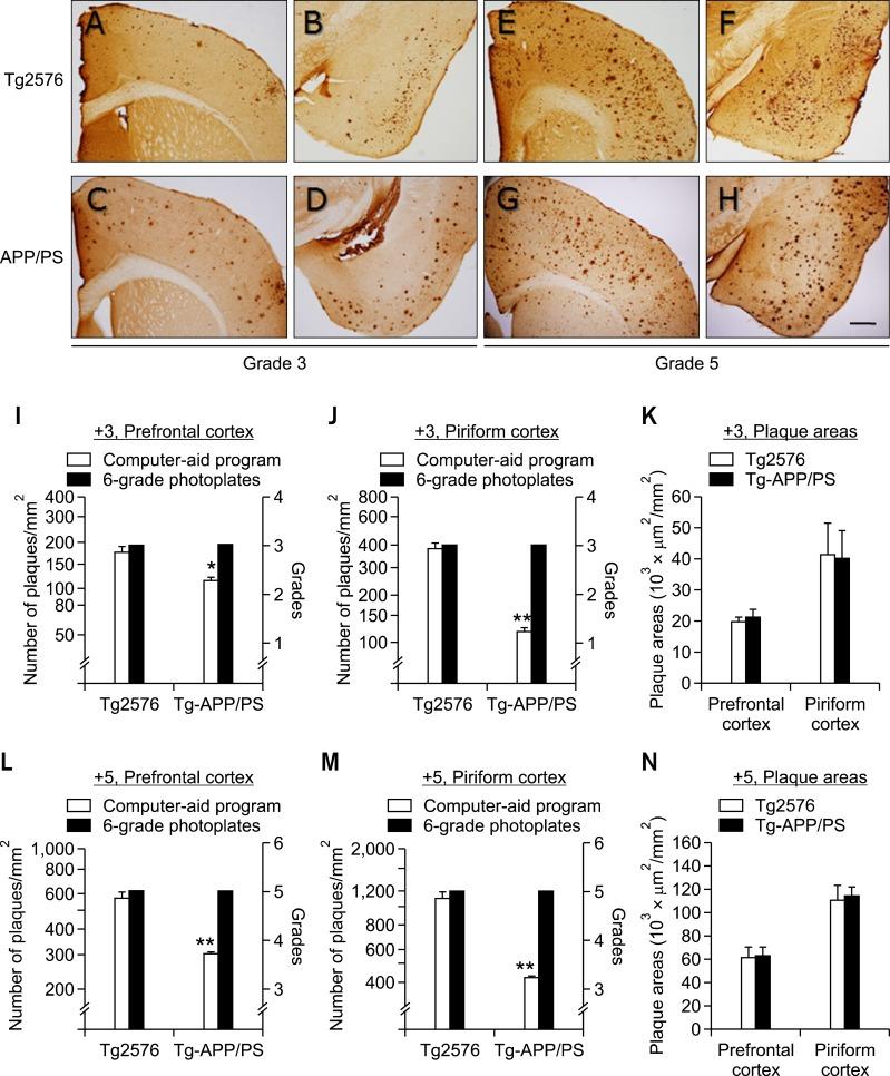 https://cdn.ncbi.nlm.nih.gov/pmc/blobs/f799/3429813/1a9ab00abb20/emm-44-492-g005.jpg