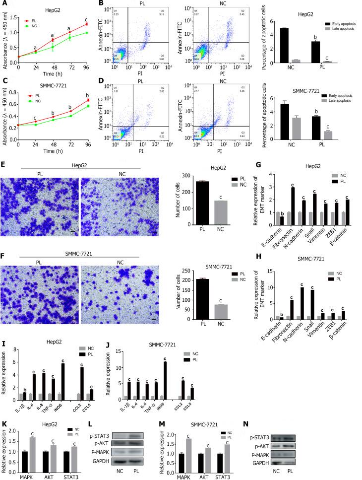 https://cdn.ncbi.nlm.nih.gov/pmc/blobs/f79b/11236245/8b450bfdf9a7/WJGO-16-2742-g004.jpg