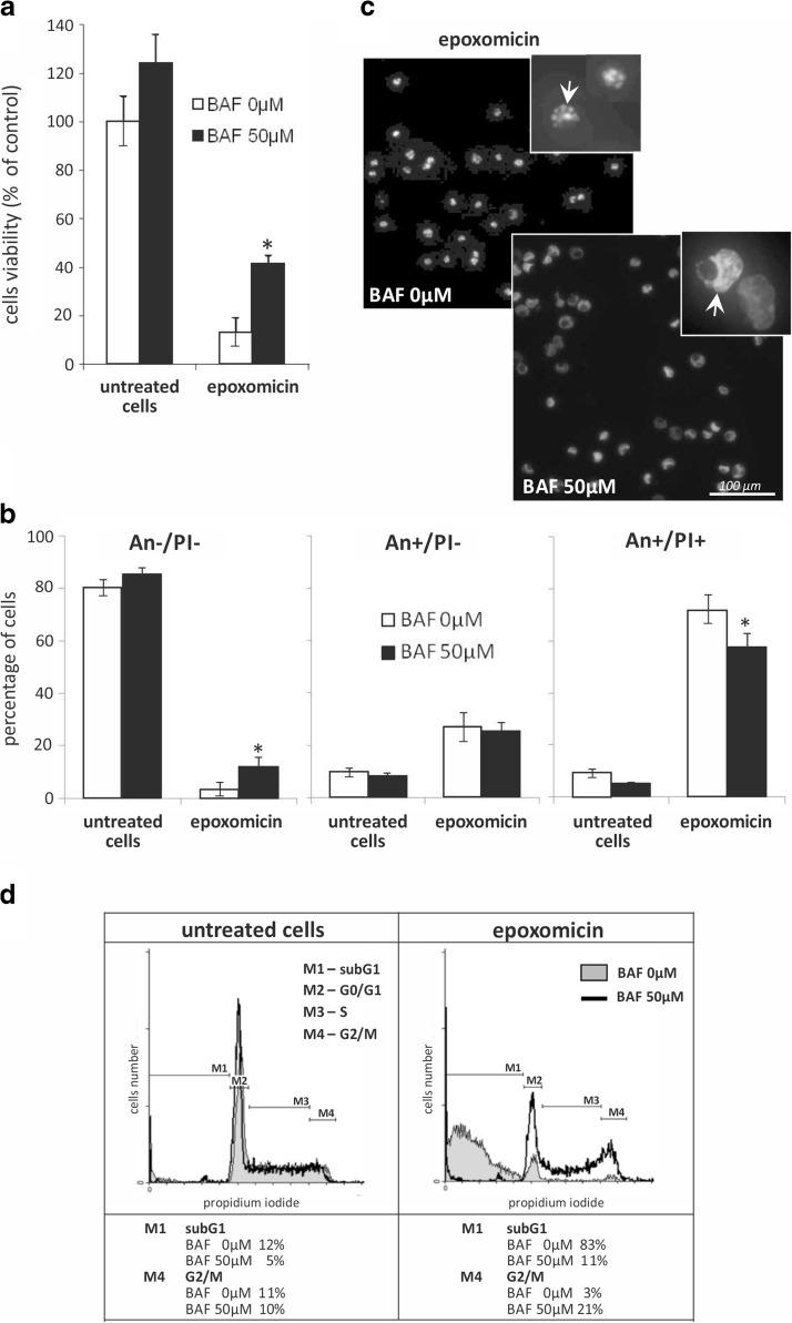 https://cdn.ncbi.nlm.nih.gov/pmc/blobs/f79b/5658467/92996df8e26e/10565_2017_9390_Fig4_HTML.jpg