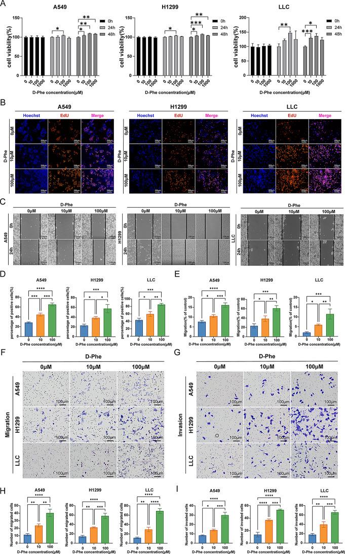 https://cdn.ncbi.nlm.nih.gov/pmc/blobs/f79d/12175366/8a7aa043a91f/12967_2025_6701_Fig3_HTML.jpg