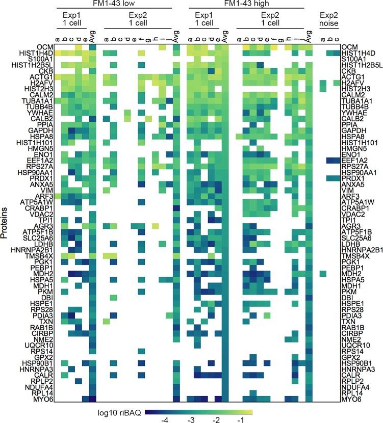 https://cdn.ncbi.nlm.nih.gov/pmc/blobs/f79e/6855842/abc8c56ddd00/elife-50777-fig2-figsupp2.jpg