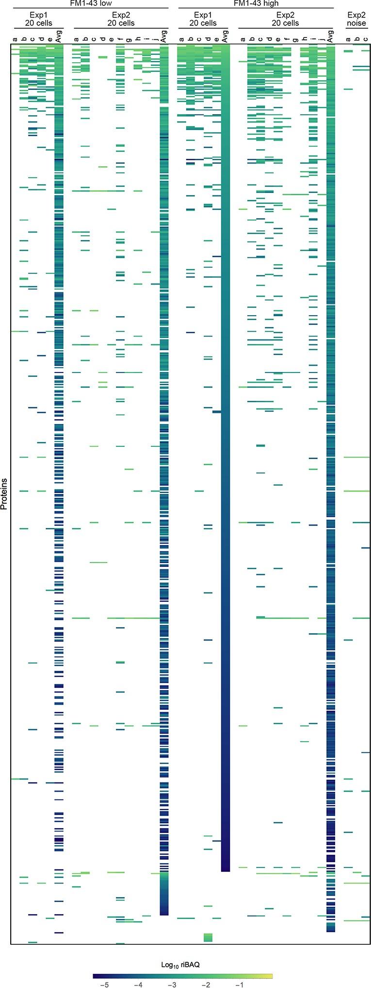 https://cdn.ncbi.nlm.nih.gov/pmc/blobs/f79e/6855842/cb1aa0054aca/elife-50777-fig2-figsupp3.jpg