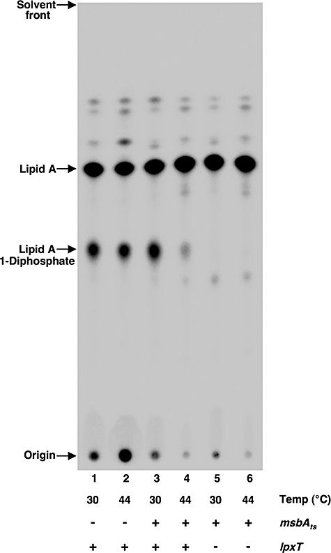 https://cdn.ncbi.nlm.nih.gov/pmc/blobs/f7a1/2229476/c47dd7107620/mmi0067-0264-f7.jpg