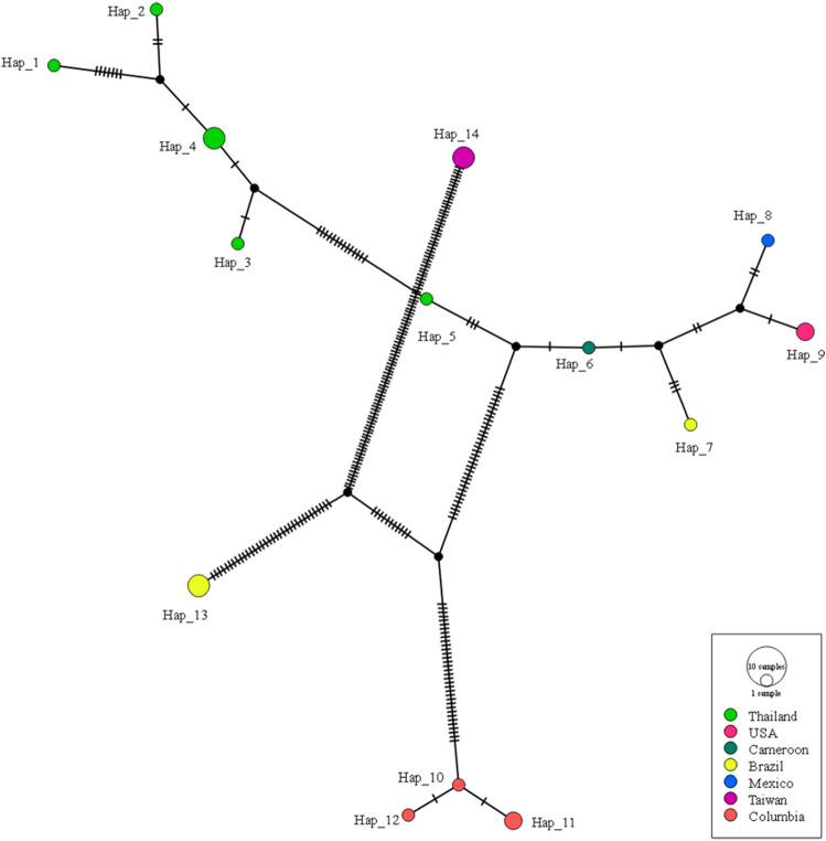 https://cdn.ncbi.nlm.nih.gov/pmc/blobs/f7a3/10663595/629e7bce52ce/41598_2023_47784_Fig3_HTML.jpg