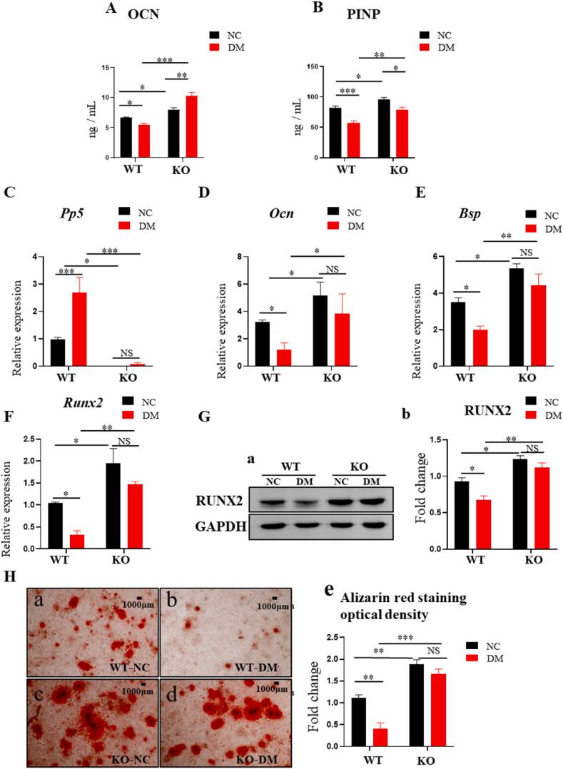 https://cdn.ncbi.nlm.nih.gov/pmc/blobs/f7a3/11283048/d131f879076e/gr3.jpg