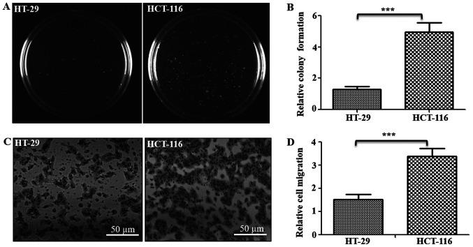 https://cdn.ncbi.nlm.nih.gov/pmc/blobs/f7a3/7573887/2accc6d3333c/ol-20-06-12176-g00.jpg