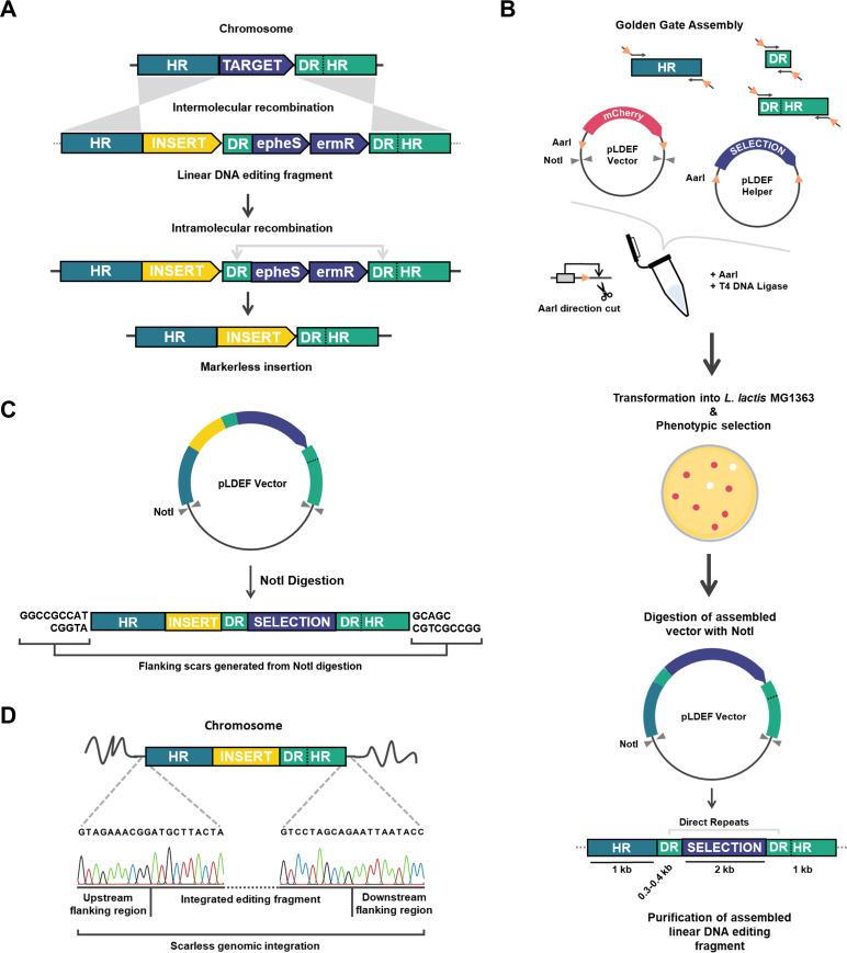 https://cdn.ncbi.nlm.nih.gov/pmc/blobs/f7a5/10269922/890cf5eacdf0/spectrum.00668-23-f003.jpg