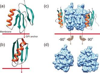 https://cdn.ncbi.nlm.nih.gov/pmc/blobs/f7a5/6681110/634231810fb5/ANIE-56-270-g005.jpg
