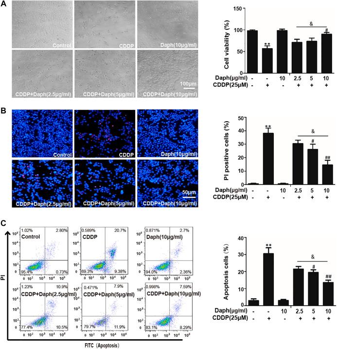 https://cdn.ncbi.nlm.nih.gov/pmc/blobs/f7a6/7753212/209ddaaaa372/fphar-11-579178-g007.jpg