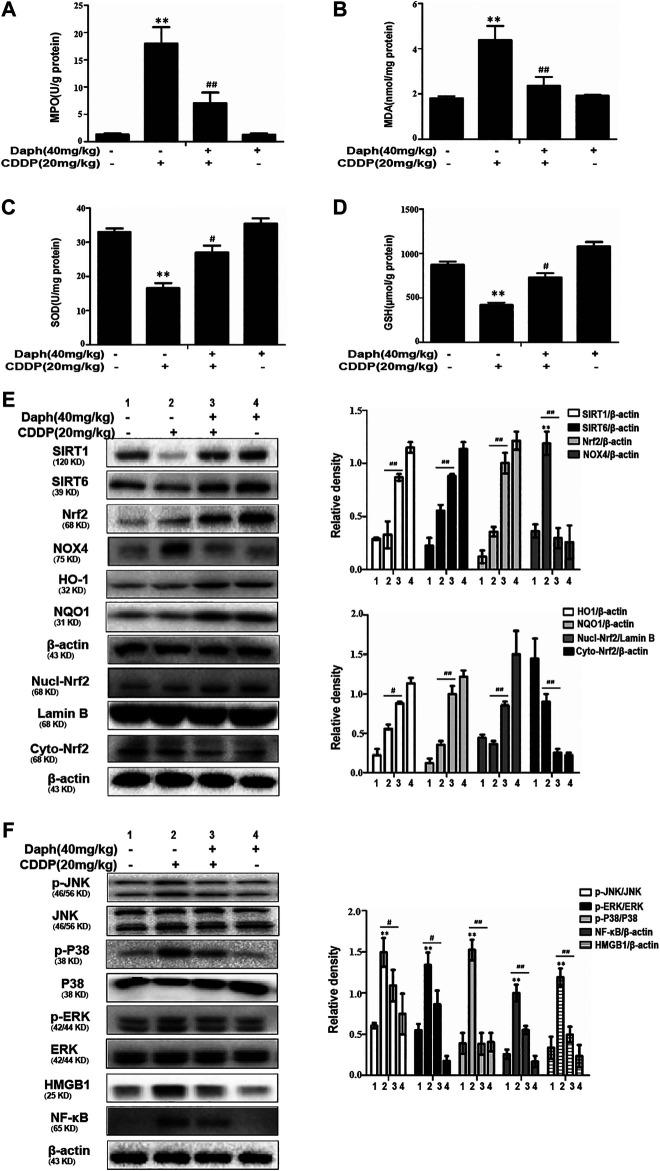 https://cdn.ncbi.nlm.nih.gov/pmc/blobs/f7a6/7753212/984e58bf1bfb/fphar-11-579178-g003.jpg