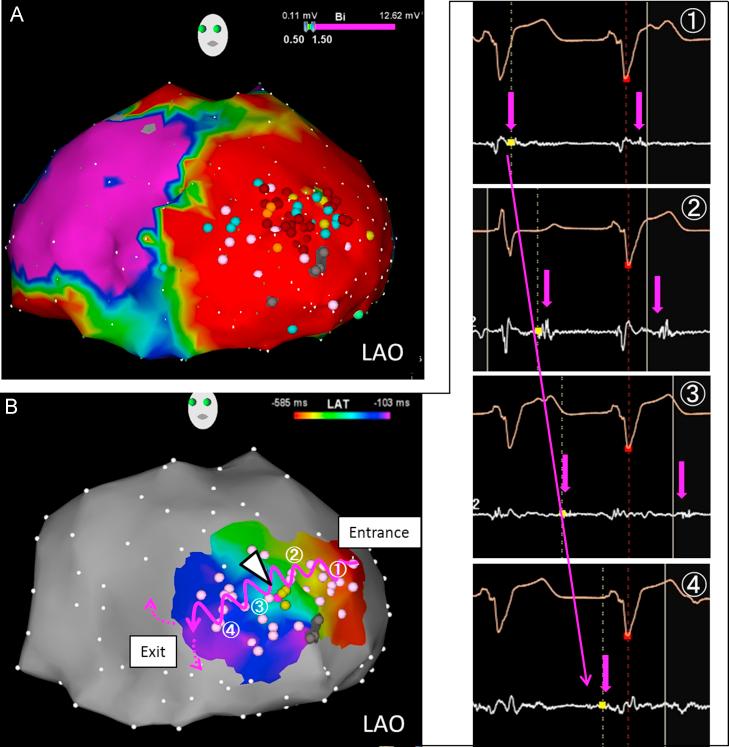 https://cdn.ncbi.nlm.nih.gov/pmc/blobs/f7a7/4672081/8bed9a8cfabe/gr3.jpg