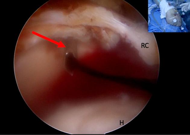 https://cdn.ncbi.nlm.nih.gov/pmc/blobs/f7a8/6993264/b133da3fb1cb/gr10.jpg