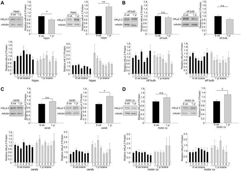 https://cdn.ncbi.nlm.nih.gov/pmc/blobs/f7aa/8691634/1de7414cb351/pone.0261087.g006.jpg