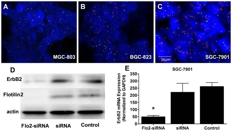 https://cdn.ncbi.nlm.nih.gov/pmc/blobs/f7b0/3642190/5de60320af24/pone.0062365.g002.jpg