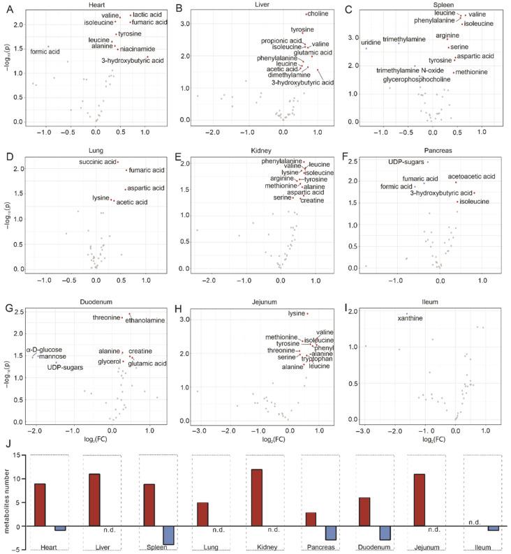 https://cdn.ncbi.nlm.nih.gov/pmc/blobs/f7b1/9031567/0b1b8cefc69f/metabolites-12-00287-g002.jpg