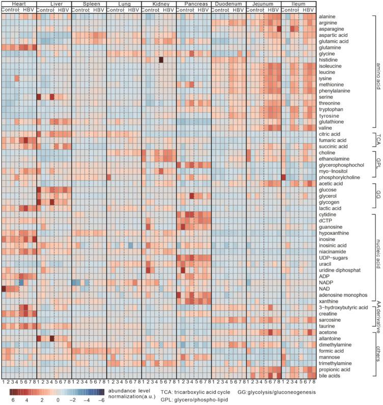 https://cdn.ncbi.nlm.nih.gov/pmc/blobs/f7b1/9031567/20c79399d206/metabolites-12-00287-g004.jpg