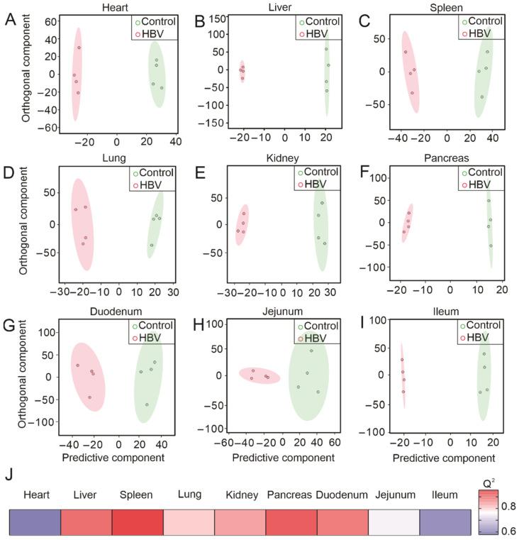 https://cdn.ncbi.nlm.nih.gov/pmc/blobs/f7b1/9031567/4073861b0f6e/metabolites-12-00287-g001.jpg