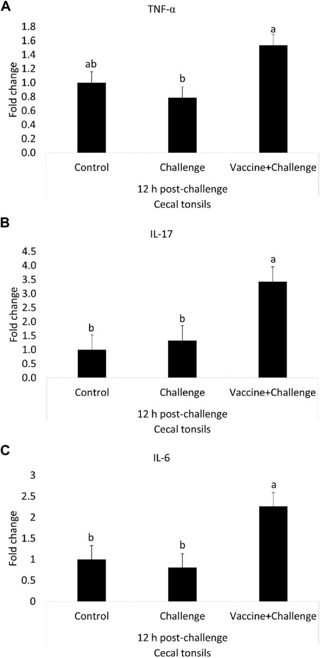 https://cdn.ncbi.nlm.nih.gov/pmc/blobs/f7b2/9340066/c69a3a0c8c43/fphys-13-920777-g005.jpg