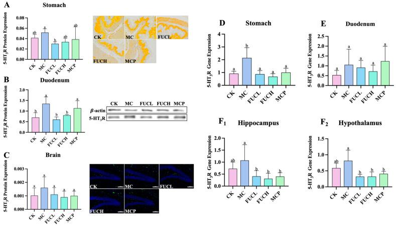 https://cdn.ncbi.nlm.nih.gov/pmc/blobs/f7b6/11989908/175e556f6bd1/ijms-26-03273-g002.jpg