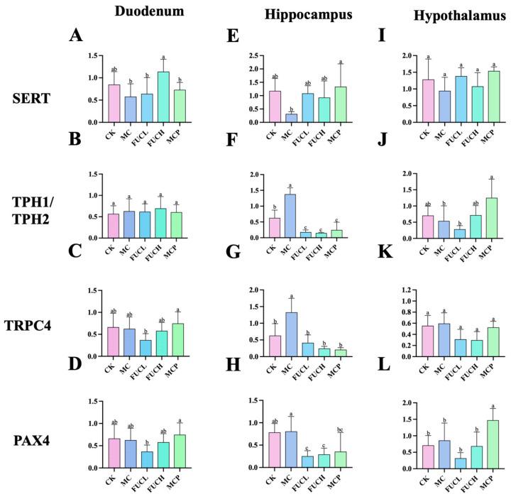 https://cdn.ncbi.nlm.nih.gov/pmc/blobs/f7b6/11989908/1b5d032c0a23/ijms-26-03273-g003.jpg