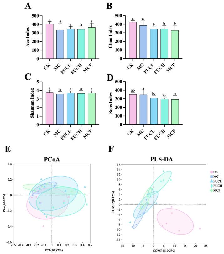 https://cdn.ncbi.nlm.nih.gov/pmc/blobs/f7b6/11989908/963ae7bb3df2/ijms-26-03273-g004.jpg