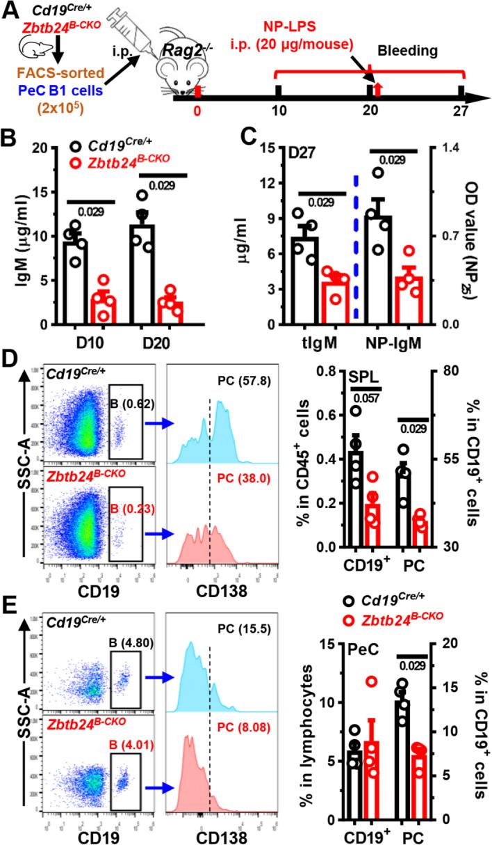https://cdn.ncbi.nlm.nih.gov/pmc/blobs/f7b7/11401330/7a05905c31db/11658_2024_641_Fig4_HTML.jpg