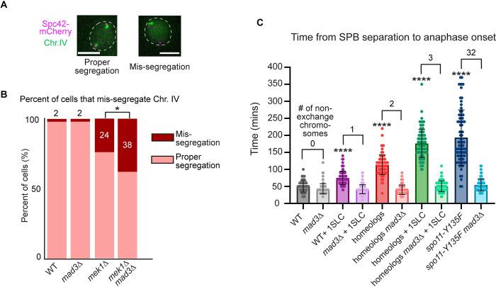 https://cdn.ncbi.nlm.nih.gov/pmc/blobs/f7b8/10109492/57d2fc192757/pgen.1010707.g002.jpg