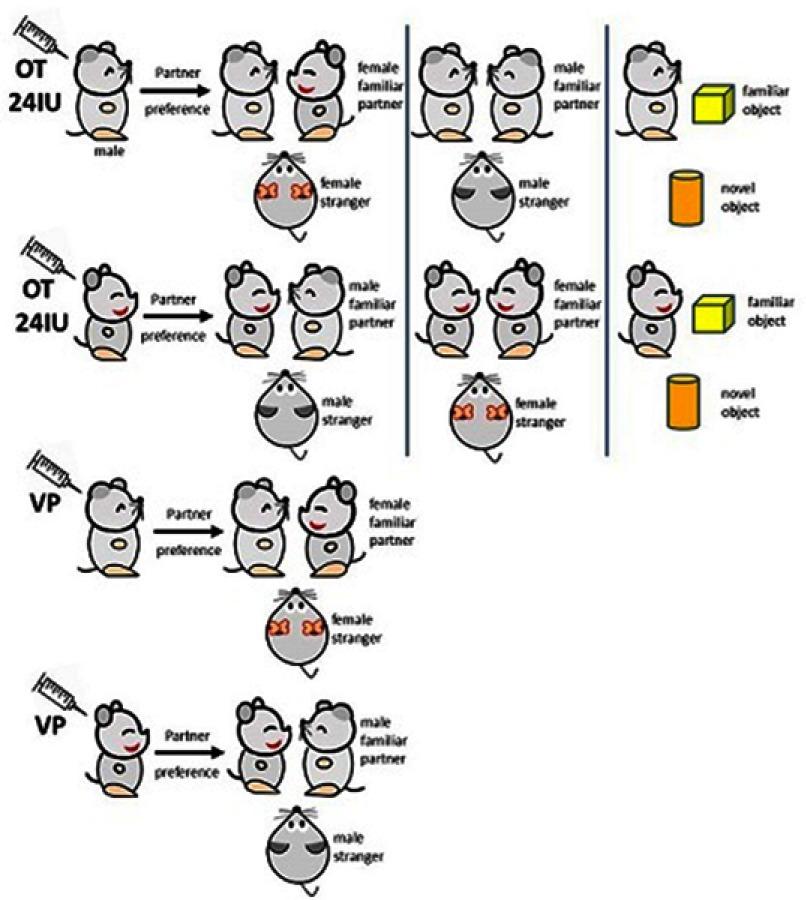 https://cdn.ncbi.nlm.nih.gov/pmc/blobs/f7b8/6529726/cc71b75c24c5/PRBM-12-g0001.jpg