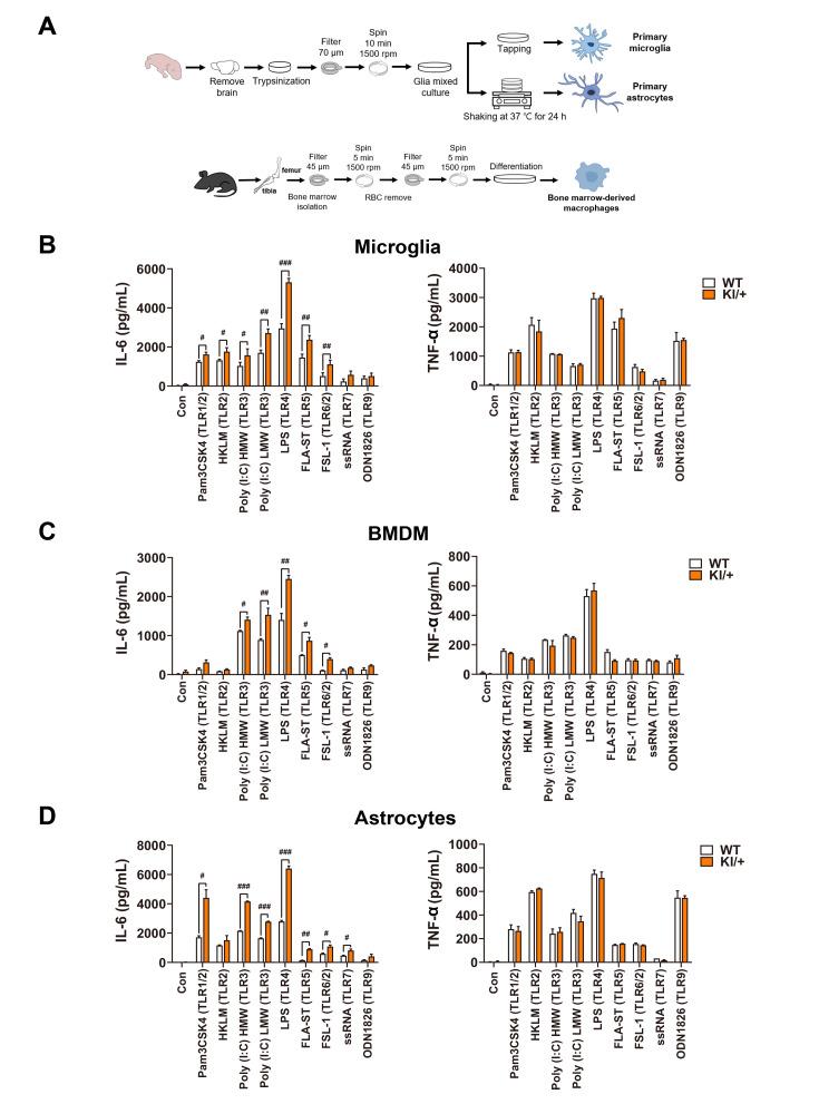 https://cdn.ncbi.nlm.nih.gov/pmc/blobs/f7ba/10569138/7e5ce29b13dc/en-32-4-259-f4.jpg