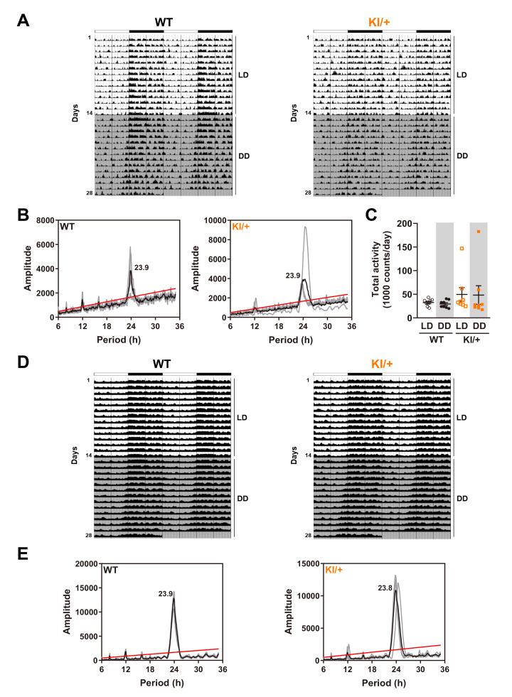 https://cdn.ncbi.nlm.nih.gov/pmc/blobs/f7ba/10569138/9d8c3c6f6c06/en-32-4-259-f6.jpg