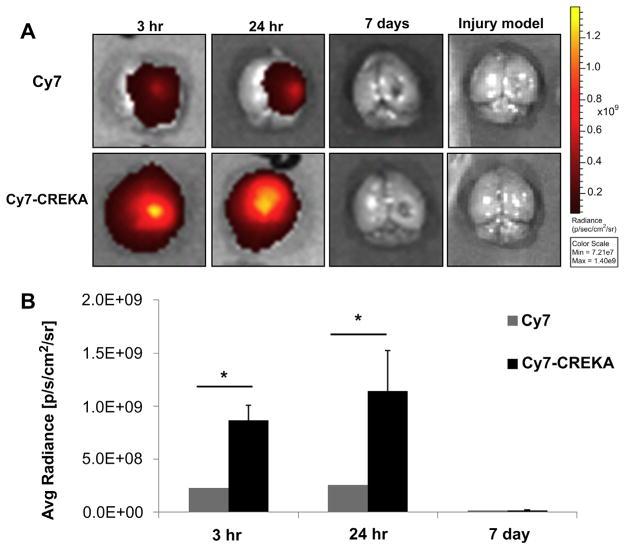 https://cdn.ncbi.nlm.nih.gov/pmc/blobs/f7ba/3880134/1d6501f11580/nihms540472f5.jpg
