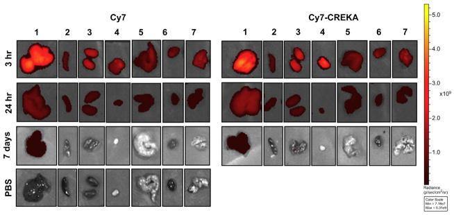 https://cdn.ncbi.nlm.nih.gov/pmc/blobs/f7ba/3880134/1df13b754522/nihms540472f7.jpg