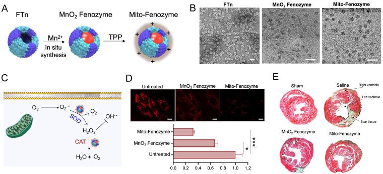 https://cdn.ncbi.nlm.nih.gov/pmc/blobs/f7bd/9475455/e2ce4cb0fd90/thnov12p6223g003.jpg