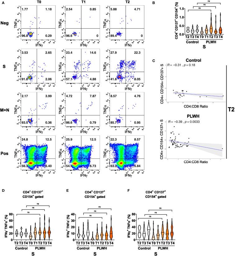 https://cdn.ncbi.nlm.nih.gov/pmc/blobs/f7c0/9755486/a024c7a7cc40/fimmu-13-1049070-g003.jpg